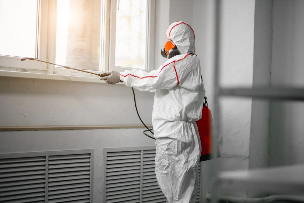 Professional mold remediation services in Rindge, NH